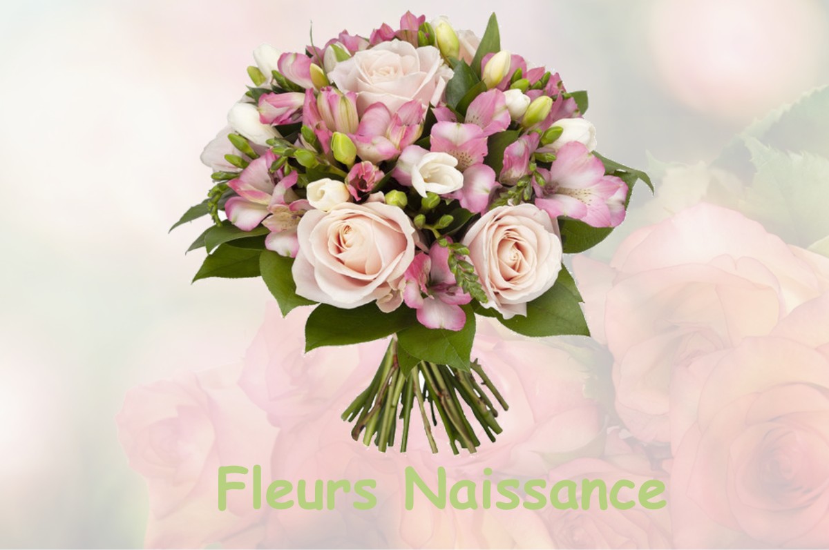 fleurs naissance PIERREFITTE-ES-BOIS