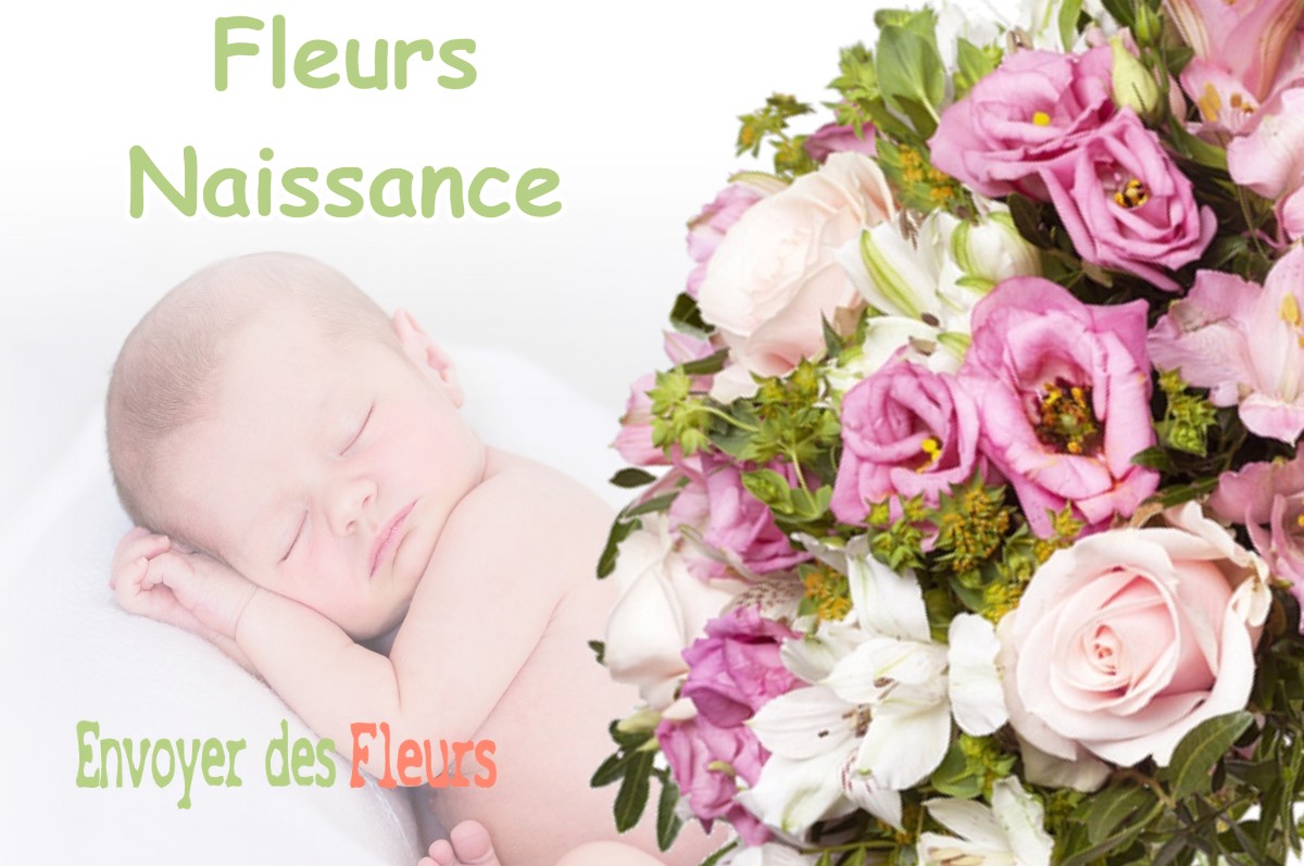 lIVRAISON FLEURS NAISSANCE à PIERREFITTE-ES-BOIS